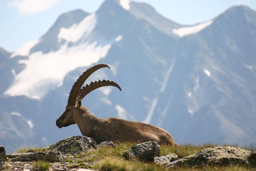 S'Huamatl Apartment Sankt Leonhard im Pitztal Luaran gambar